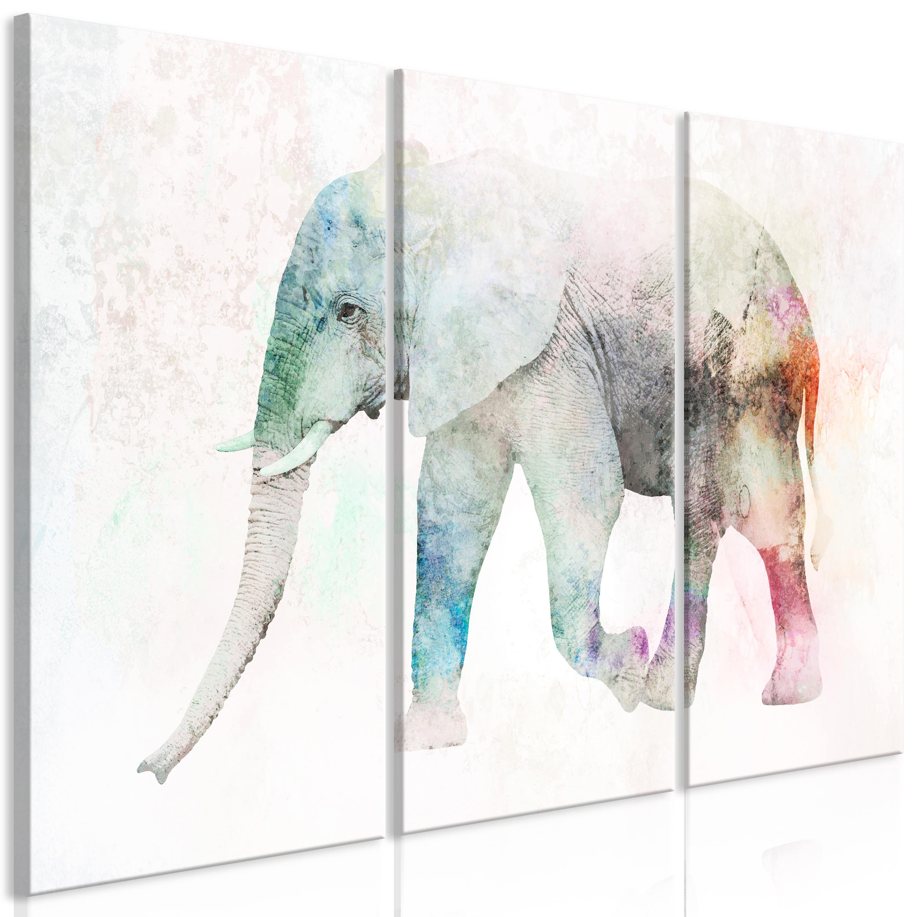 Wandbild - Painted Elephant (3 Parts)