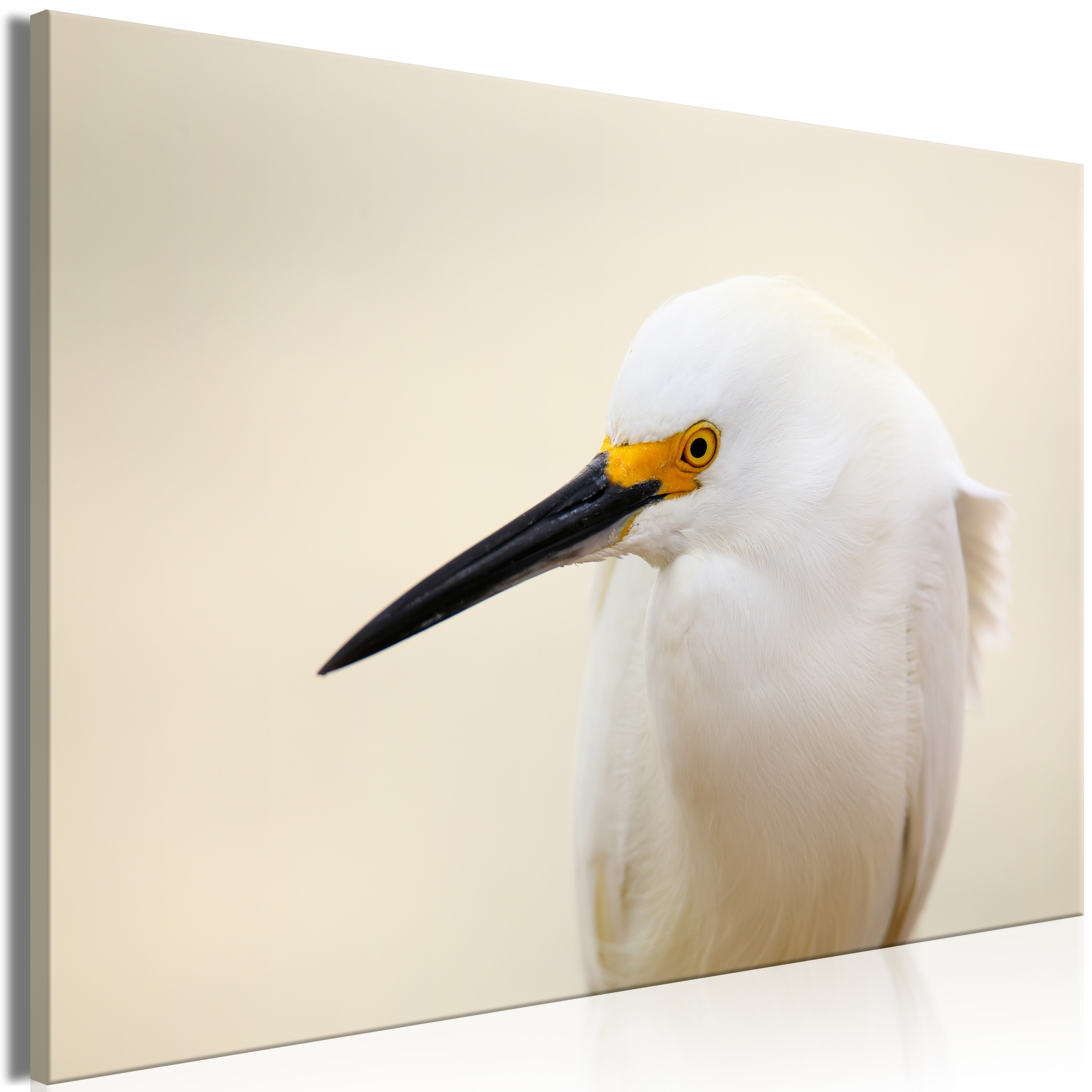 Wandbild - Snowy Egret (1 Part) Wide