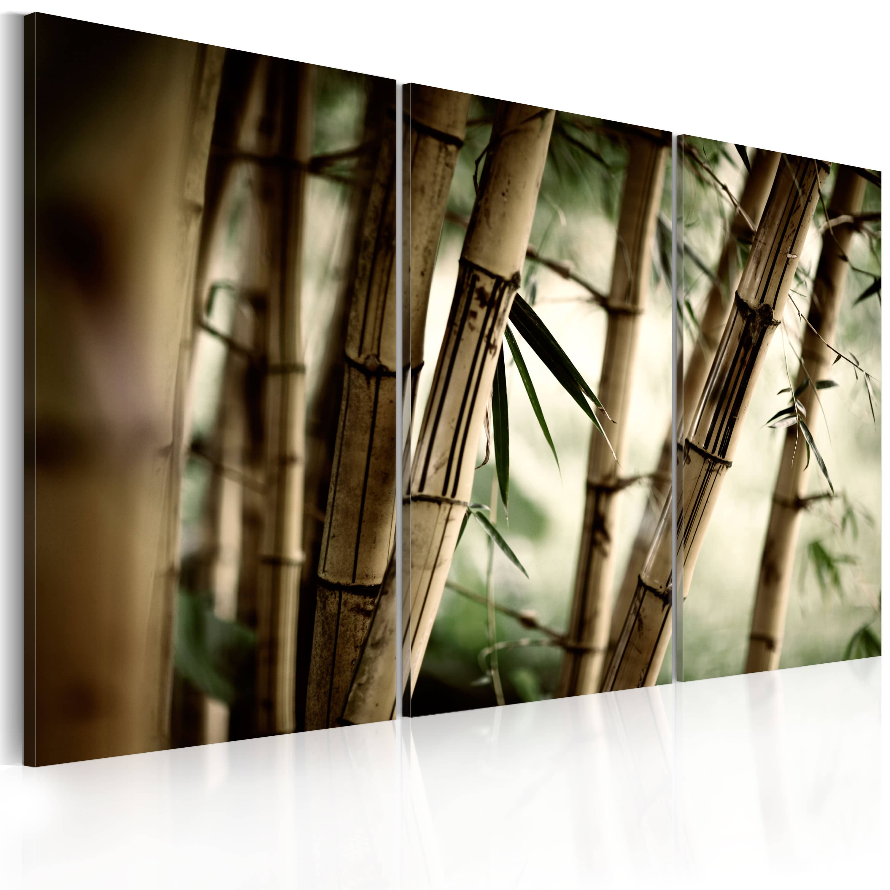 Wandbild - Bambus in den Tropen