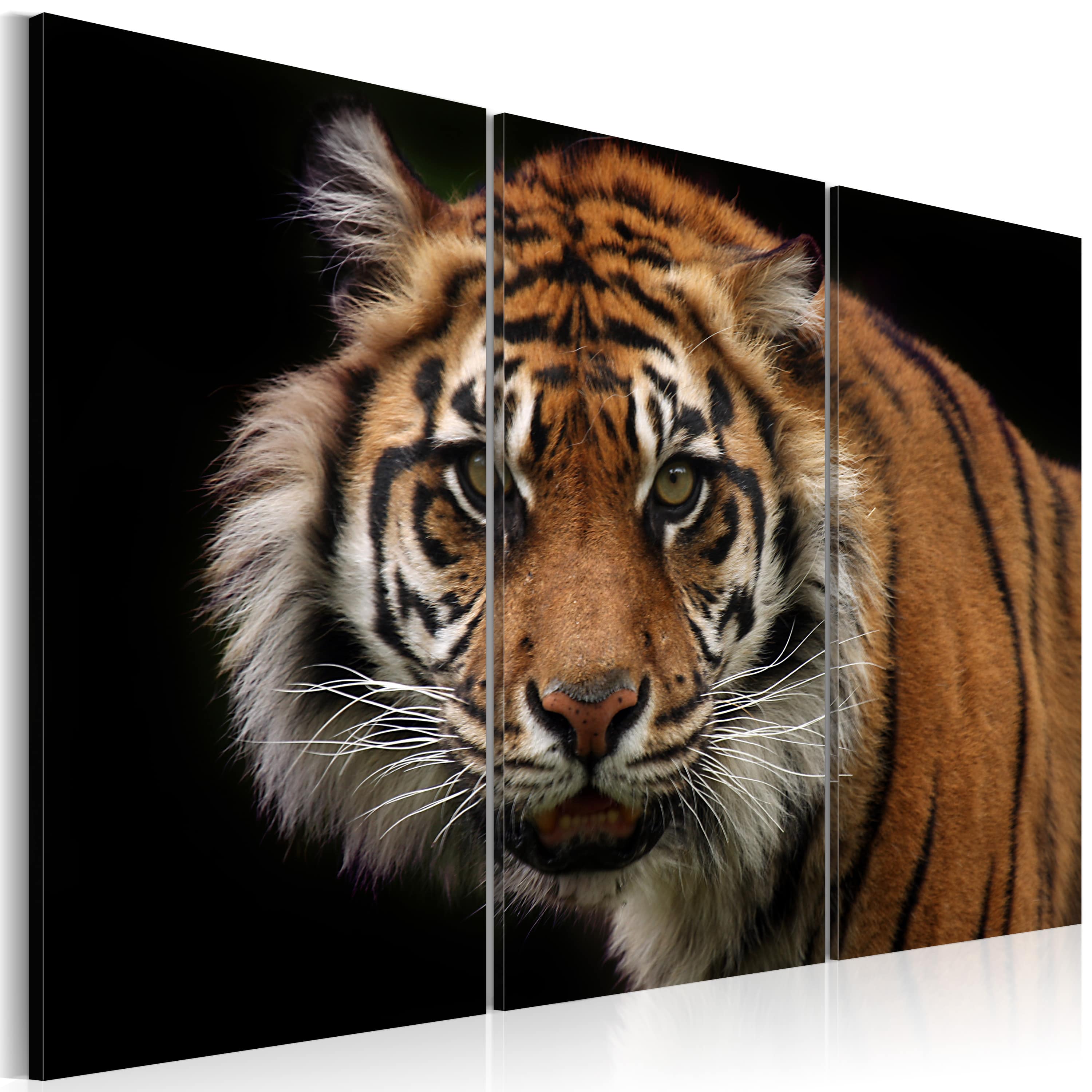Wandbild - Wilder Tiger